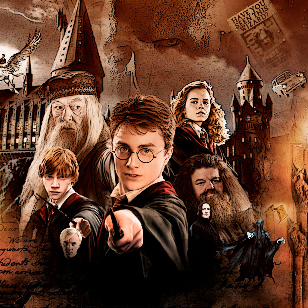 Gama Harry Potter | Practic Domus