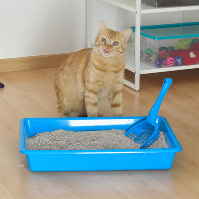 Plastic Forte - Arenero para Gatos Simply con Pala Recogedora Incluida. Azul