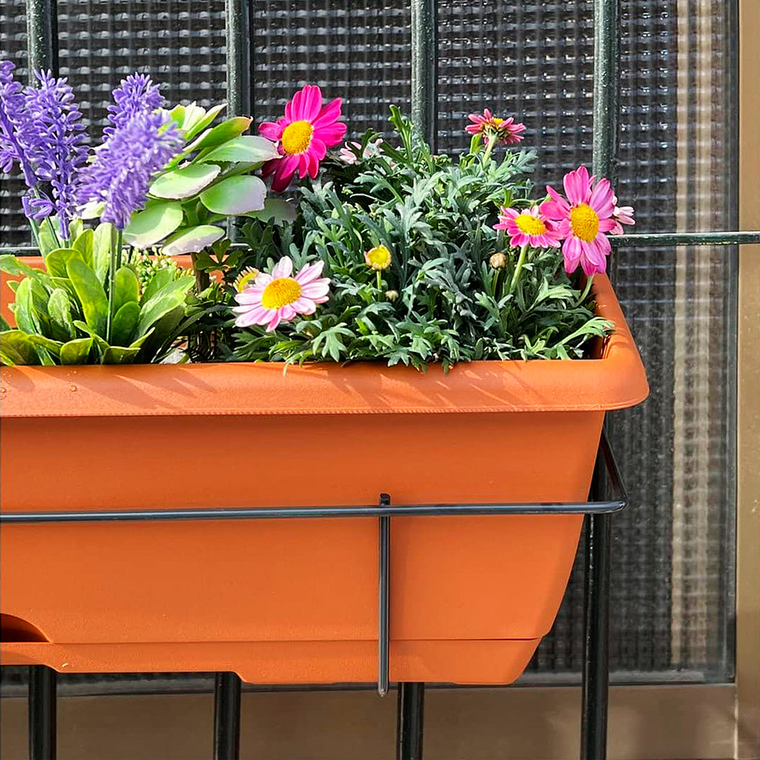 Plastic Forte - Jardinera Balconera 40 cm con Plato Integrado y Soporte. Antracita