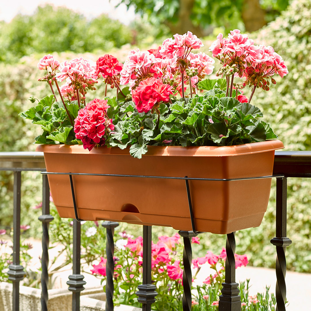 Plastic Forte - Lote de 2 Jardineras Balconeras 50 cm con Platos Integrados. Terracota