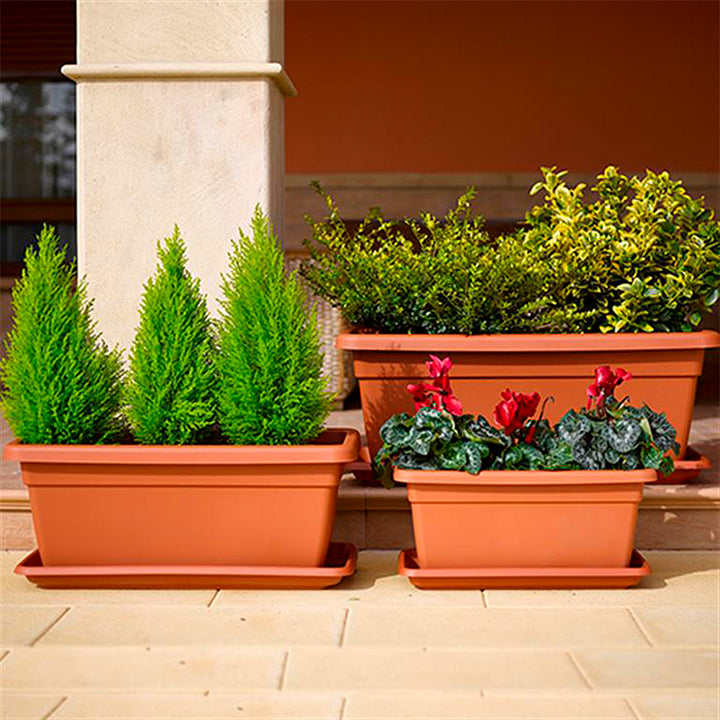 Plastic Forte - Plato para Jardinera Rectangular Reforzada de 60 cm Ancha. Terracota