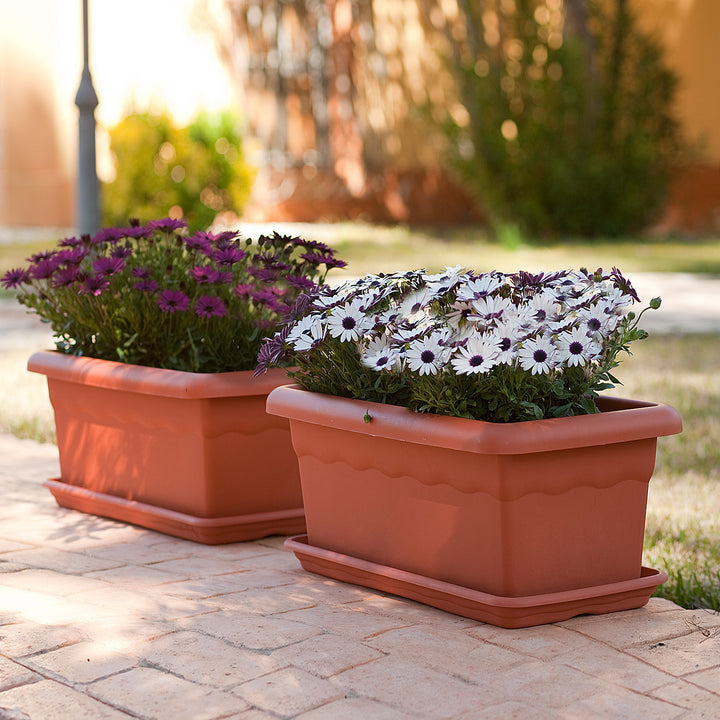 Plastiken TERRA - Jardinera Rectangular 60 cm 33L con Plato Incluido. Terracota