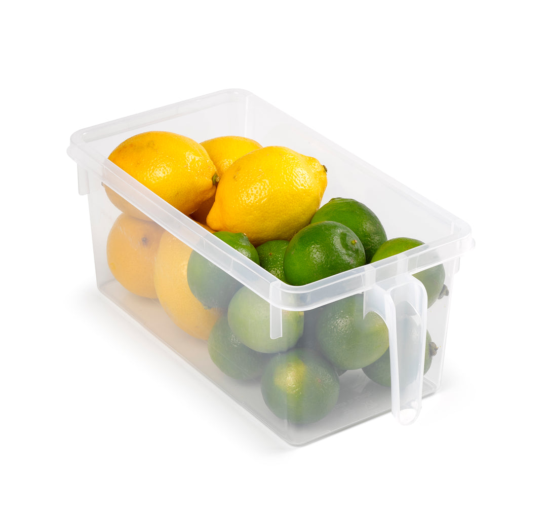 Plastic Forte - Organizador de Nevera Transparente con Asa Handy Frigo