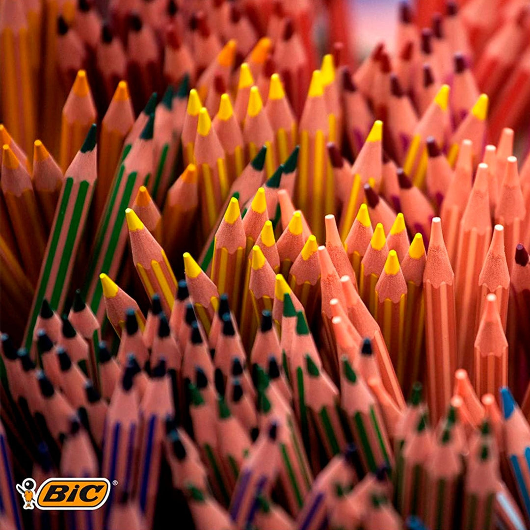 BIC KIDS 950522 - Caja de 12 Lápices hexagonales de Colores Surtidos Evolution Stripes