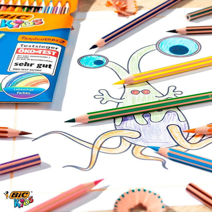 BIC KIDS 950522 - Caja de 12 Lápices hexagonales de Colores Surtidos Evolution Stripes