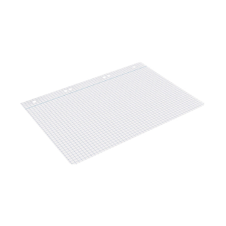 LIDERPAPEL - Recambio Liderpapel Cuarto 100 Hojas 60g/M2 Cuadro 6mm Con Margen 6 Taladros