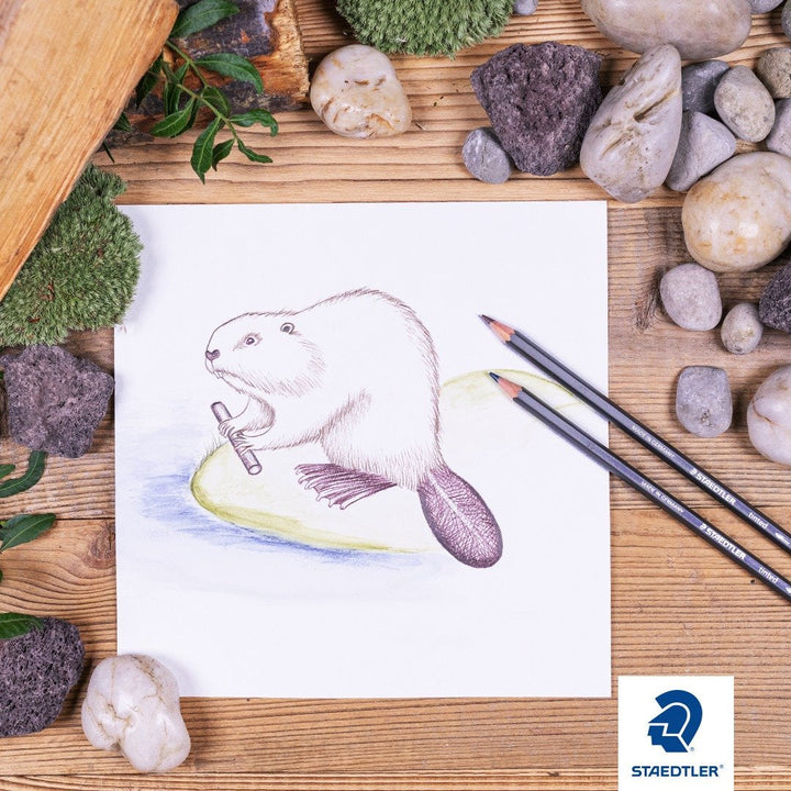 STAEDTLER 185 C24 03 - Caja de Cartón con 24 Lápices de Colores Surtidos