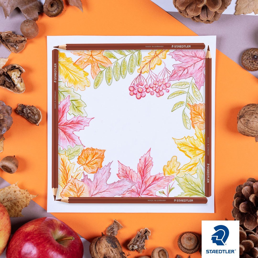 STAEDTLER 185 C24 03 - Caja de Cartón con 24 Lápices de Colores Surtidos