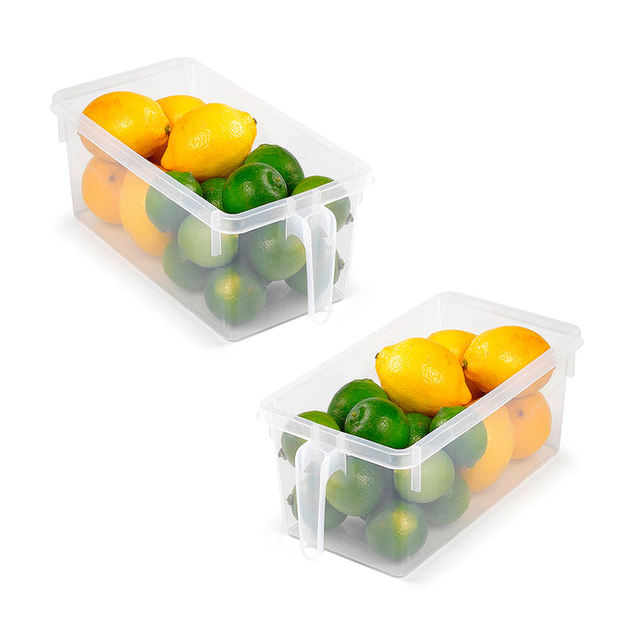 Plastic Forte - Organizador de Nevera Transparente con Asa Handy Frigo