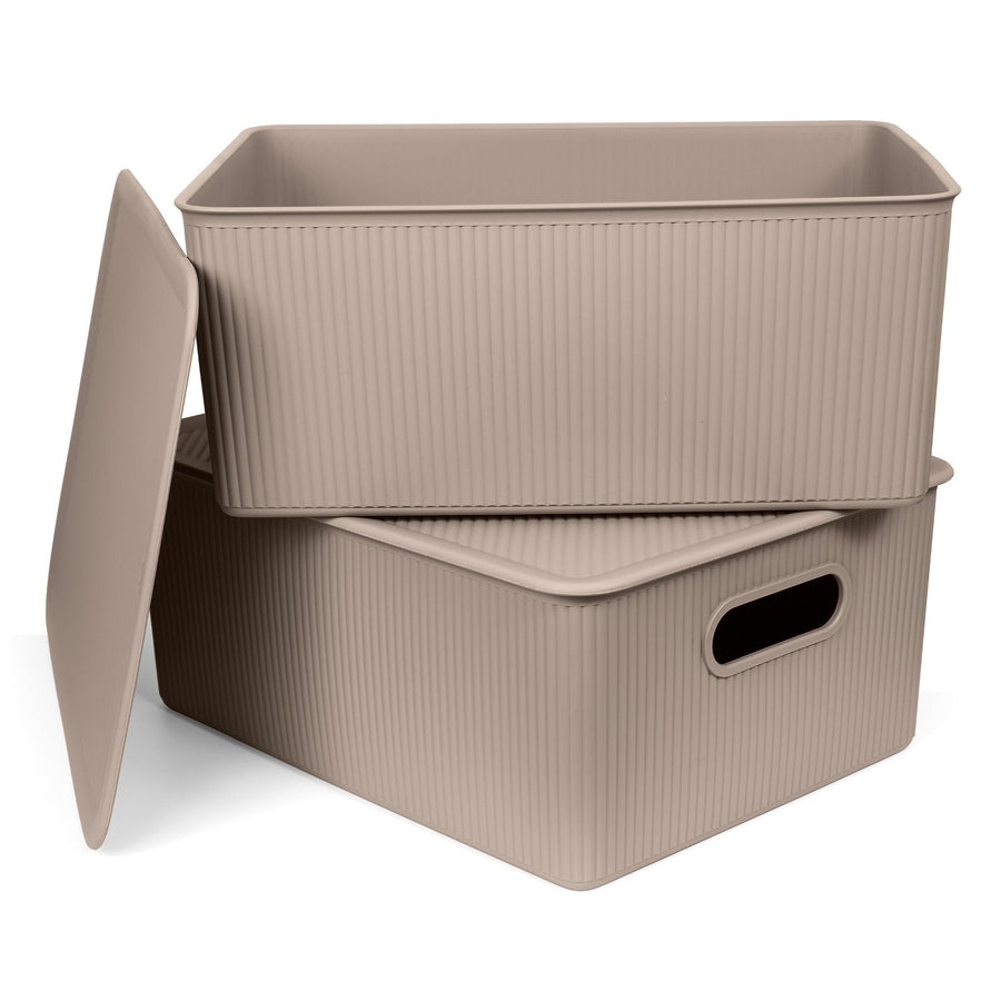 TATAY Baobab - Set de 2 Cajas Organizadoras 15L con Tapa en Plástico PP05. Taupe