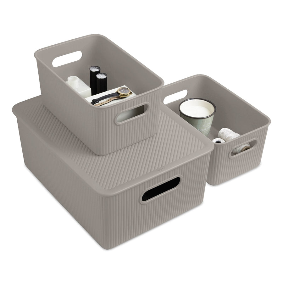 TATAY Baobab - Set de 3 Cajas Organizadoras Grandes con Tapa en Plástico PP05. Taupe