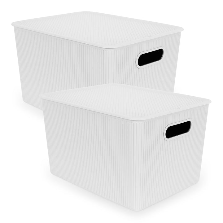 TATAY Baobab - Set de 2 Cajas Organizadoras 22L con Tapa en Plástico PP05. Blanco Pergamon