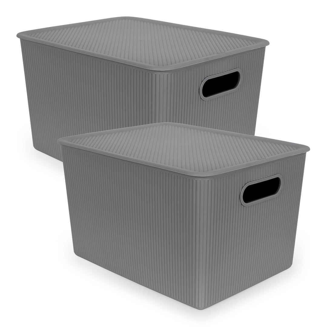 TATAY Baobab - Set de 2 Cajas Organizadoras 22L con Tapa en Plástico PP05. Gris Antracita