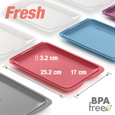 TATAY Fresh - Set de 4 Recipientes Porta Embutidos y Alimentos. Colores Practic