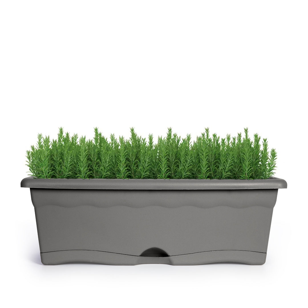 Plastiken TERRA - Set de 4 Jardineras con Plato Integrado. Medida 60 cm 12L. Antracita