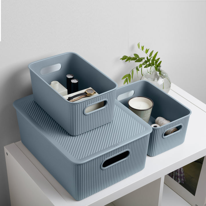 TATAY Baobab - Lote de 2 Cajas Organizadoras 15L con Tapa en Plástico PP05. Azul Mist