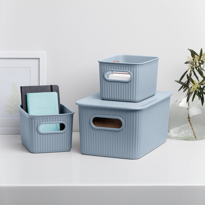 TATAY Baobab - Tapa Caja Organizadora Rectangular 15/22L Plástico PP05. Azul Mist