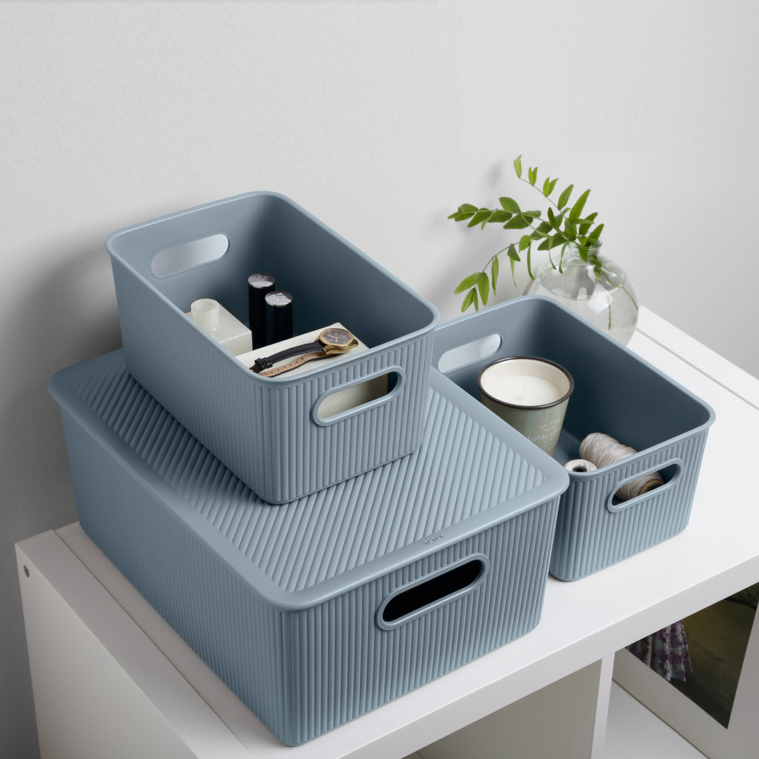 TATAY Baobab - Tapa Caja Organizadora Rectangular 5L Plástico PP05. Azul Mist