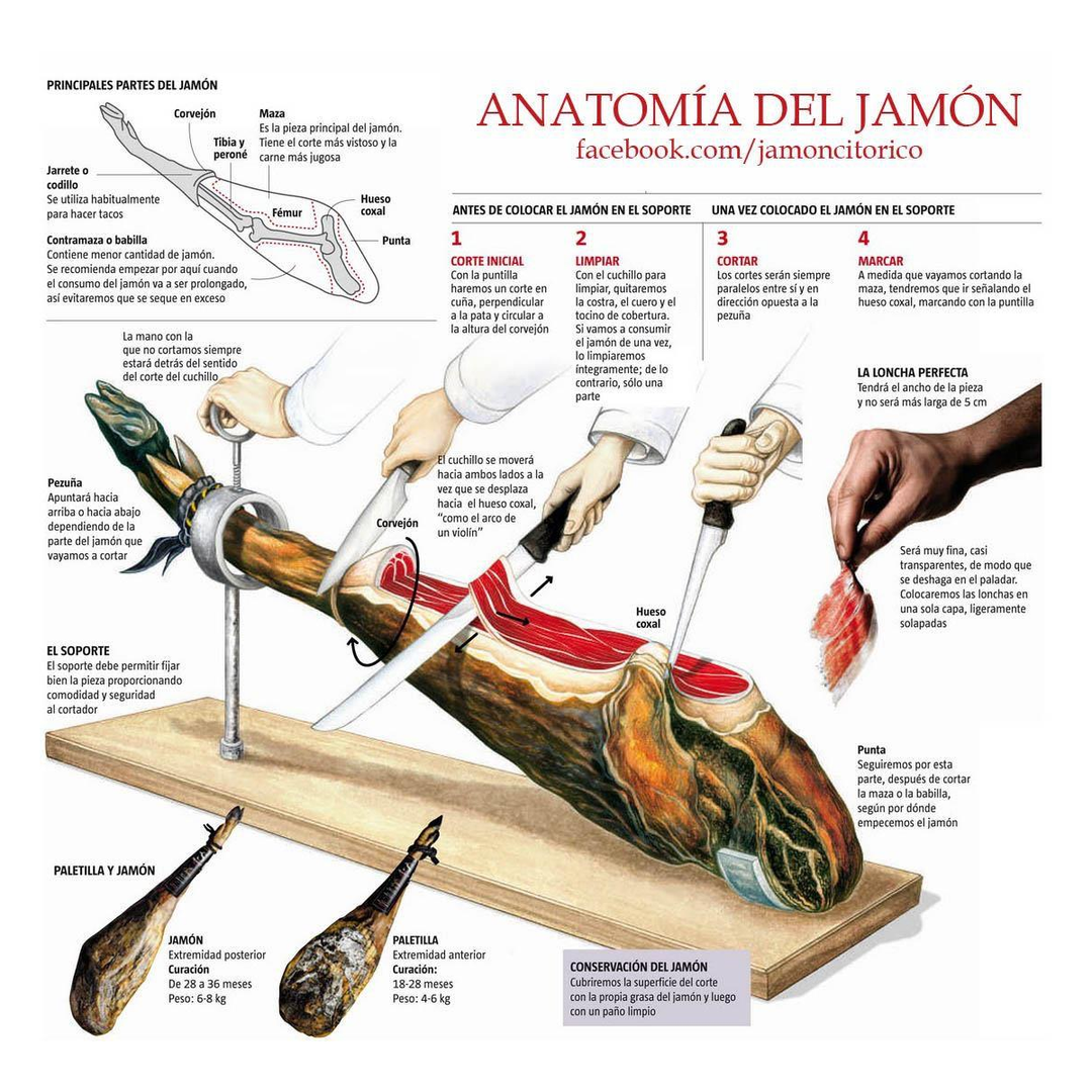 3 Claveles - Kit Corte de Jamón Master con Cuchillo Jamonero, Deshuesadores, Chaira, Estuche y Pinzas